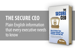 The Secure CEO